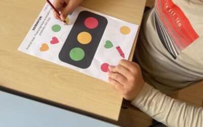 Sigurnost djece i učenika u prometu