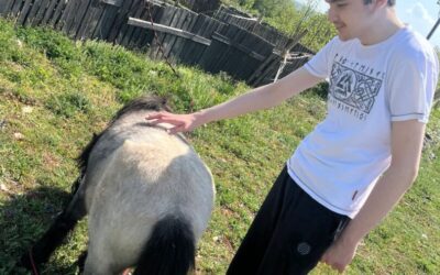 Posjet Adventure Parku STATION10 u Dicmu